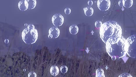 animación de la red de conexiones con burbujas sobre el paisaje urbano