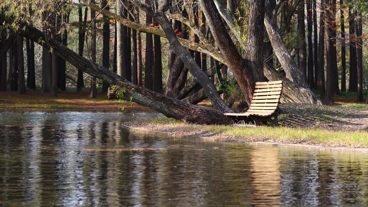 아름다운 가을 숲 공원의 풍경, 빛에 나무 벤치와 평화로운 호수 위에 잎이 떨어지는, 루프 가능한 4k 느린 동작 영상.