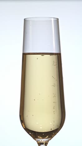 a close-up of a champagne flute filled with sparkling wine against a white background.