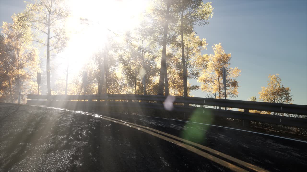 숲 속 의 도로 에 있는 카메라 의 움직임 과 잎자루 를 통해 빛나는 태양