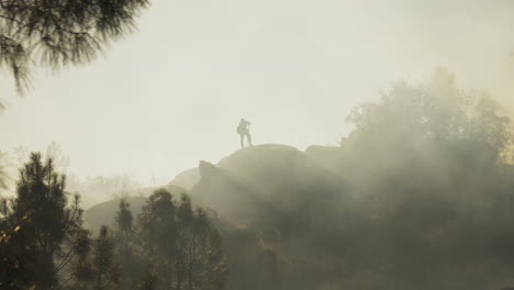 firefighter tackling wildfire on ground in thick smoke, fire crew