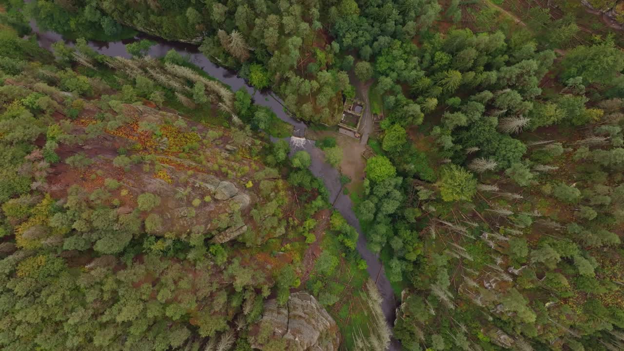 Fredfyldte Kamenice-flod med en forladt mølle omgivet af tæt grønt