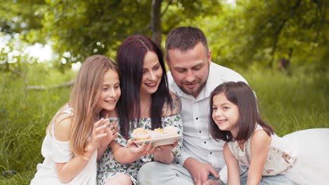 family picnic in the park
