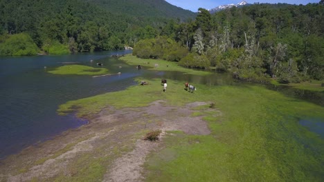 Caballos-Cruzando-El-Río-Que-Desemboca-En-El-Lago