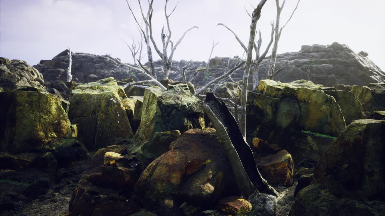 Scenic view of rocky terrain with barren trees in a mystical landscape setting