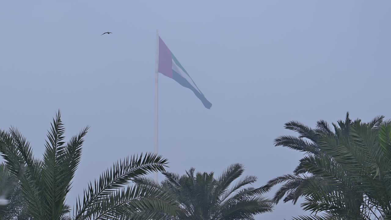 NEBBIA NEGLI EAU: La bandiera degli EAU sventola nell'aria durante la nebbia del primo mattino negli Emirati Arabi Uniti.