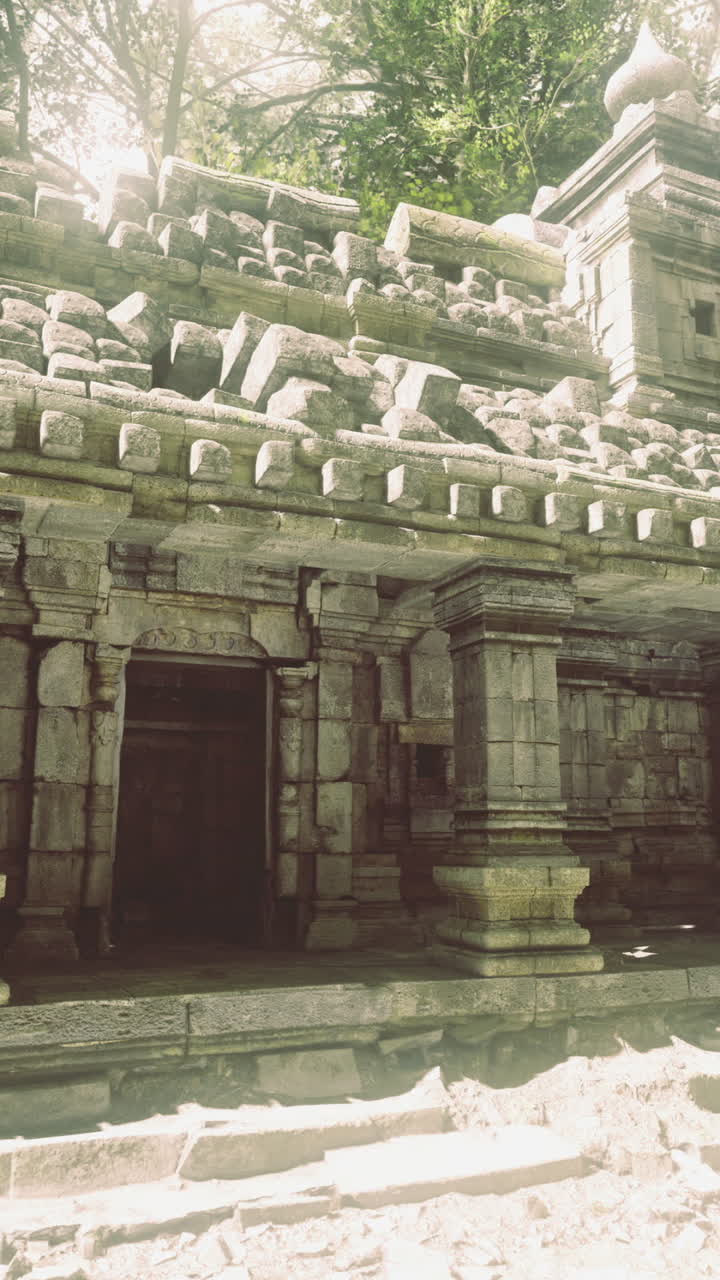 Ancient temple ruins amidst lush greenery and sunlight in dense forest