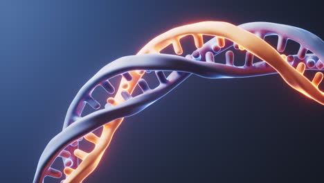 dna with biological concept, 3d rendering.