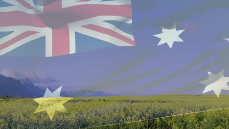 waving australian flag over scenic landscape with mountains and yellow flowers