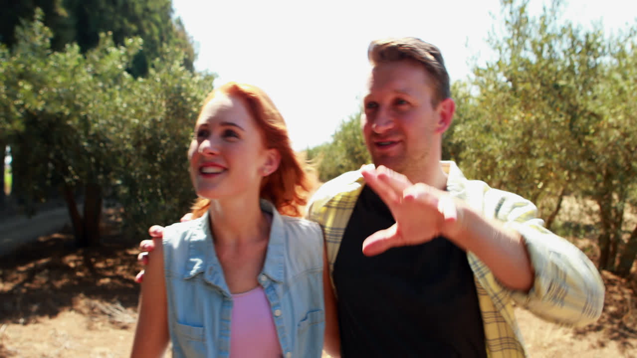올리브 농장 에서 서로 상호 작용 하는 행복 한 부부 4k