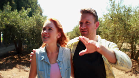 pareja feliz interactuando entre sí en una granja de olivos 4k