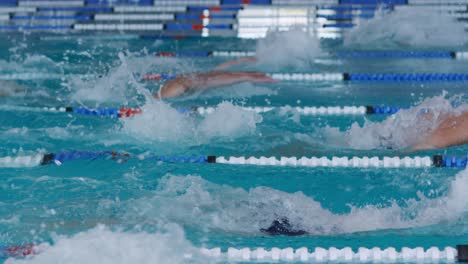 Nadadores-Nadando-En-La-Piscina