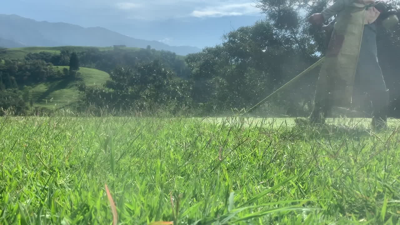 Man working pruning cutting grass triming  in a beautiful landscape in a sunny morning day, slow motion