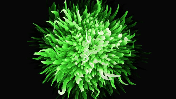 grünes blumenmuster auf schwarzen zarten blättern, die in einer kreisförmigen anordnung schwimmen