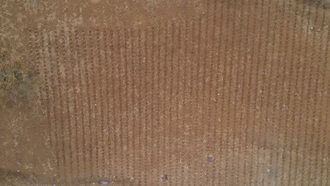 dry empty lands in kenya- city scape-drone view