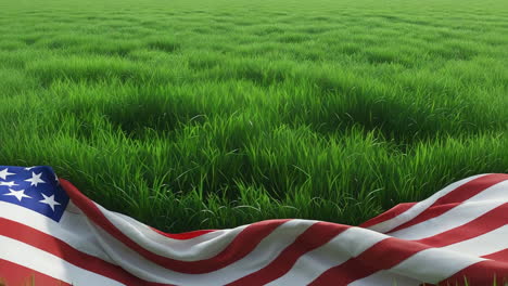 american flag draped over a green grass field