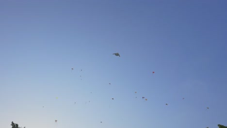 tiro de cometas volando en el viento durante un día muy hermoso sin nubes durante el día-1