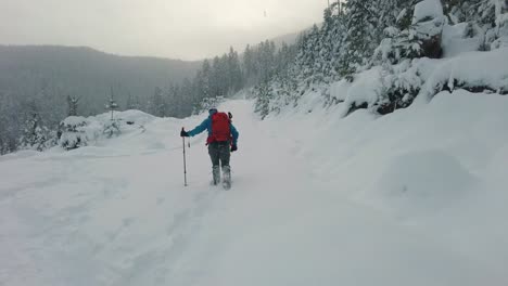 snowshoeing towards a misty forest on vancouver island, canada