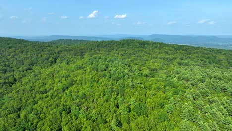 drone glides above vibrant green canopy covering rolling new england hills