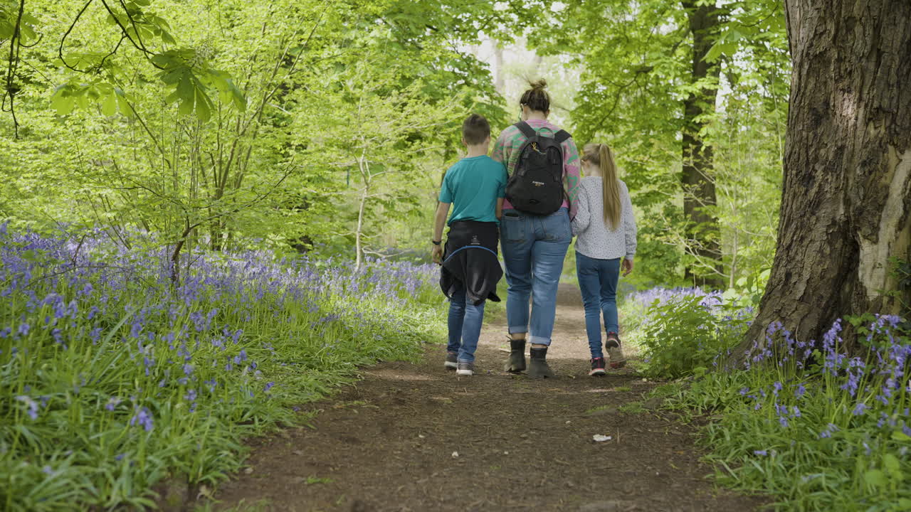 Family Hiking in a Forest with Bluebells