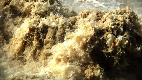 primer plano de agua termal geotérmica fangosa hirviendo en cámara lenta
