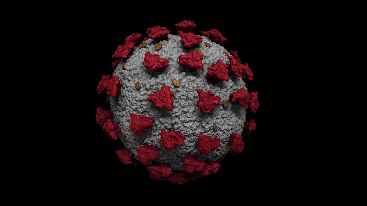 coronavirus renderizado en 3d sobre un fondo negro