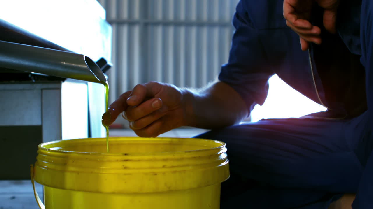 técnico que examina el aceite de oliva producido por la máquina
