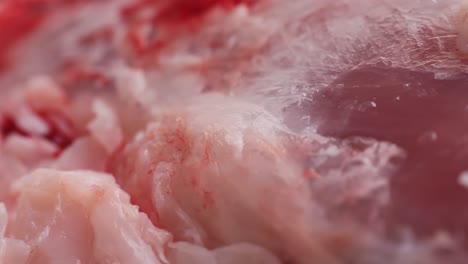 close-up view of raw meat and bone fragments