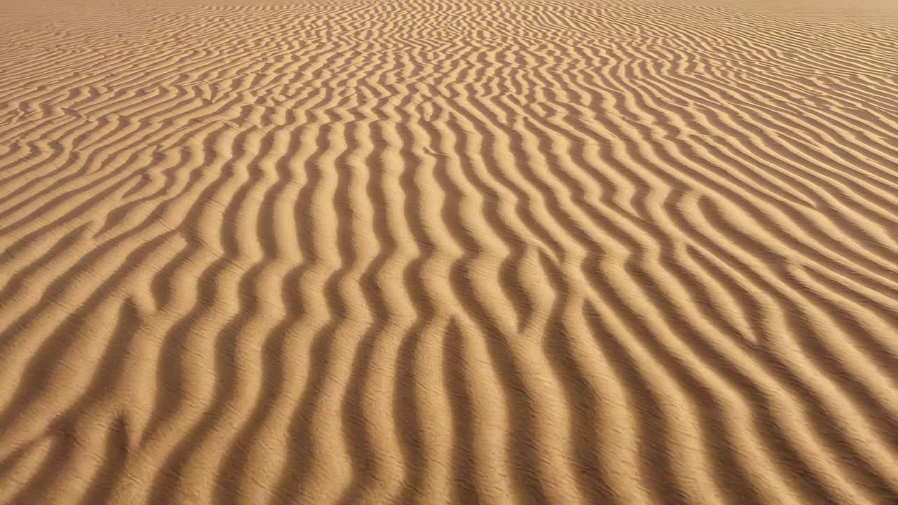 Allontanamento della camera che rivela increspature di sabbia più ampie sul campo di dune, mostrando ombre incavate