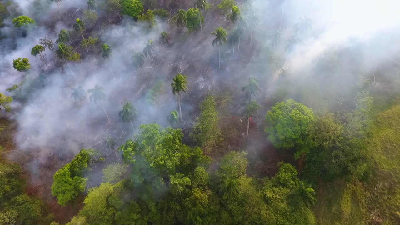 vista aérea de la quema y el tabaquismo de la deforestación de incendios forestales, en la jungla de nueva gales del sur, día soleado, en australia - seguimiento, disparo de drones