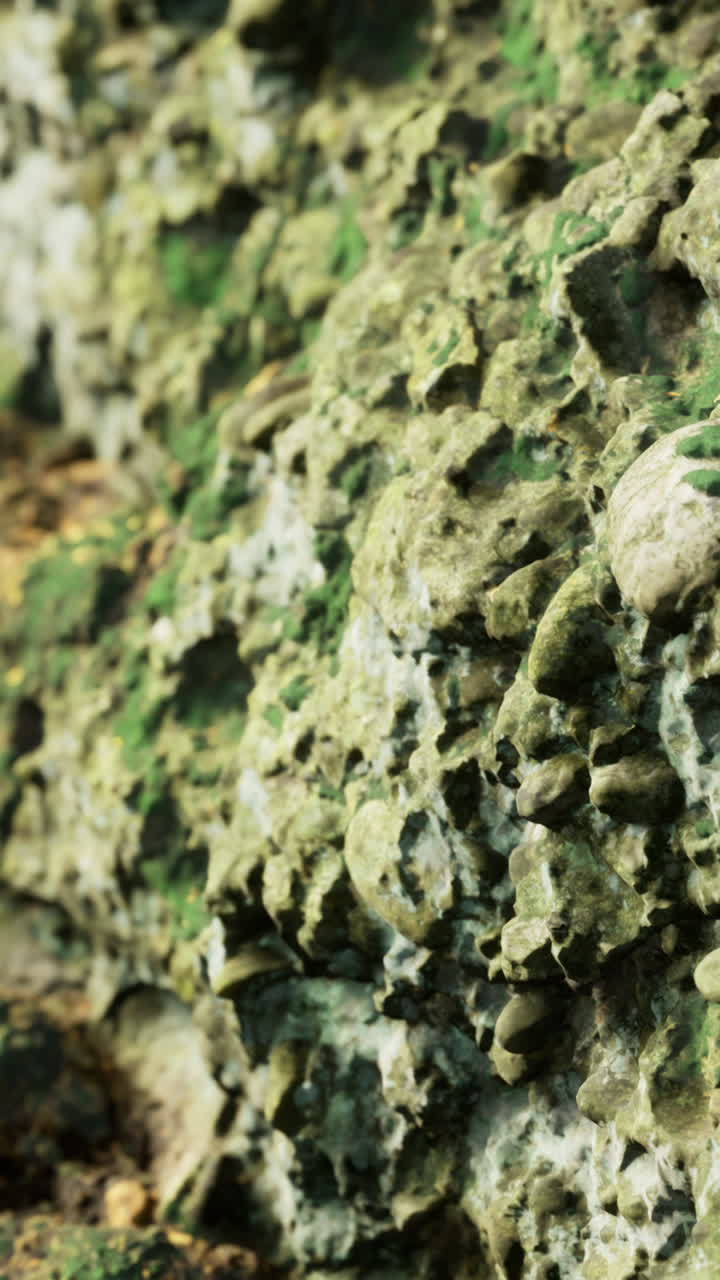 Unique textures of weathered stone showcasing natures artistry in detail