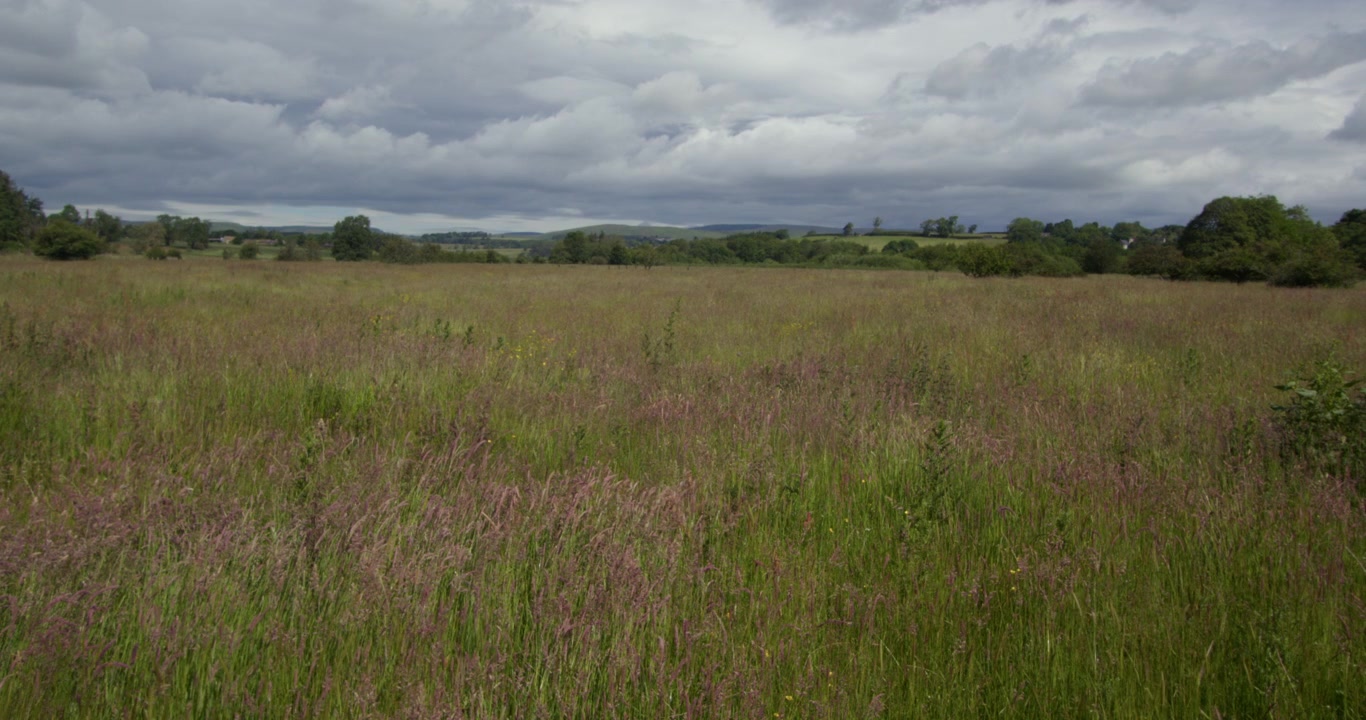 Vistas através do campo de prados em Northumbria, próximo ao rio Coquet, em Holystone