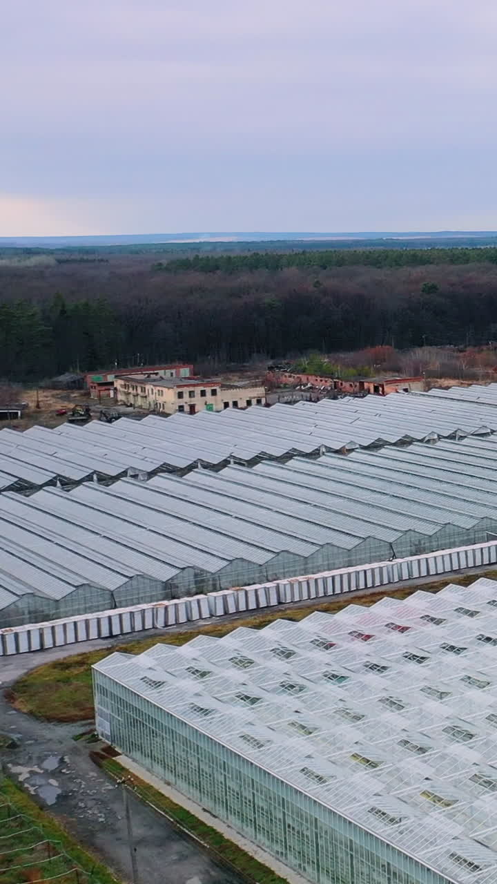 Aerial view. Large glass greenhouses in the forest for growing agricultural crops. Vertical video