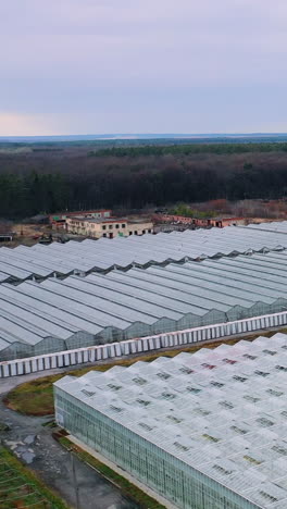 aerial view. large glass greenhouses in the forest for growing agricultural crops. vertical video