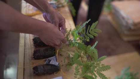 Umwelttechnologie,-Klimawandel,-Grüne-Yerba-Mate-Station,-Nachhaltiger-Grüner-Wald,-Artenvielfalt-–-Mann-Markiert-Baumsämlinge