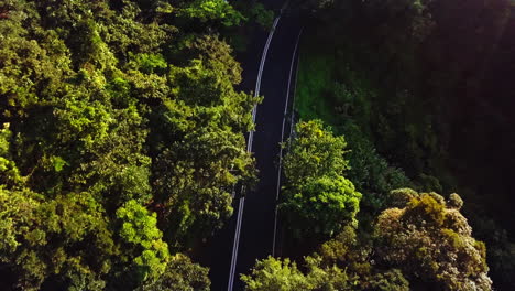 mountain country road up tai mo shan highest peak in hong kong china