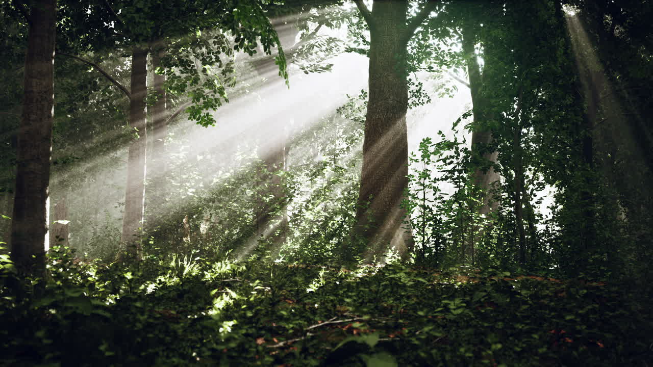 свет, сияющий в природе