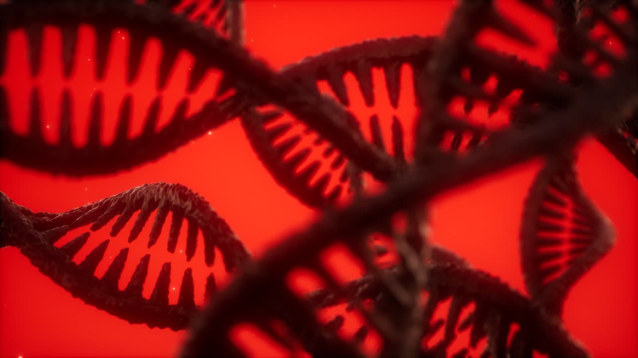 Structure Of The DNA Double Helix Animation Free Stock Video Footage ...