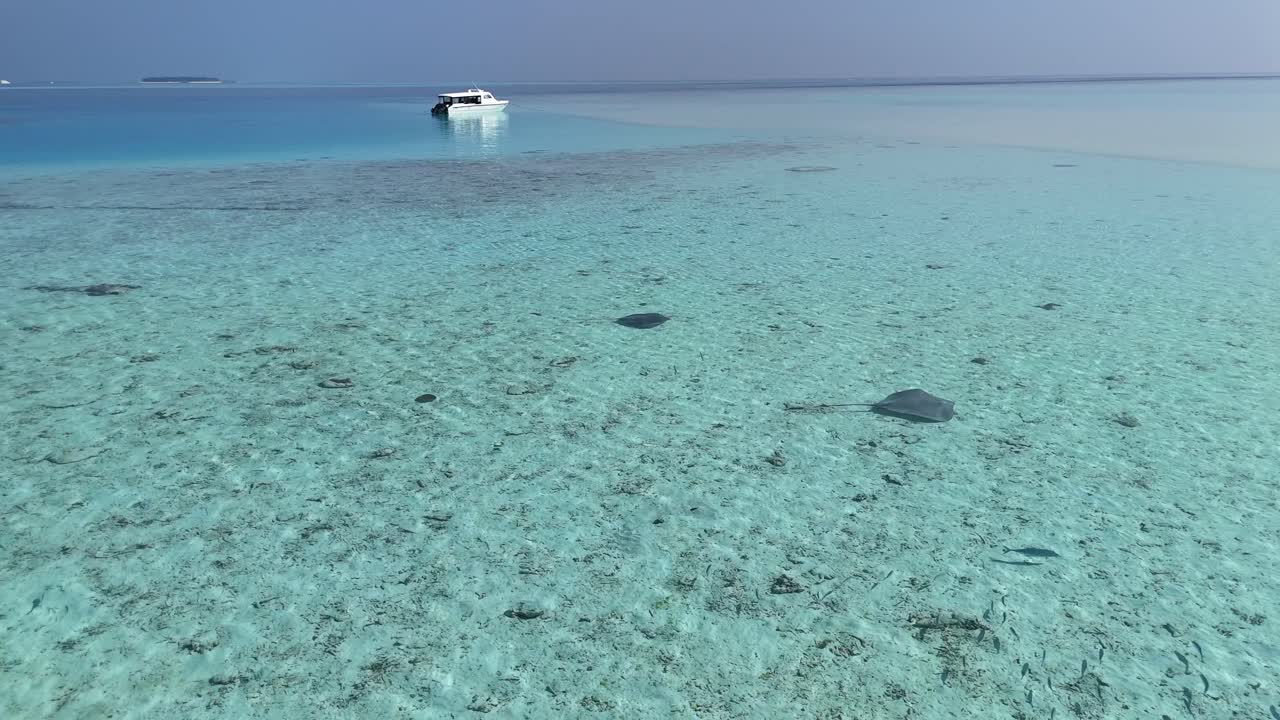 Vertikalt dronebillede oppefra af rokker, der svømmer i en klar lagune på Maldiverne