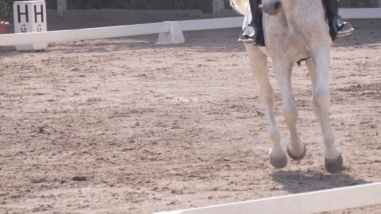 movimiento lento de un caballo blanco montando en una competencia ecuestre, tegucigalpa, honduras