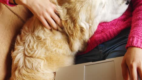 mujer acariciando a su perro mientras usa computadora portátil en el sofá 4k