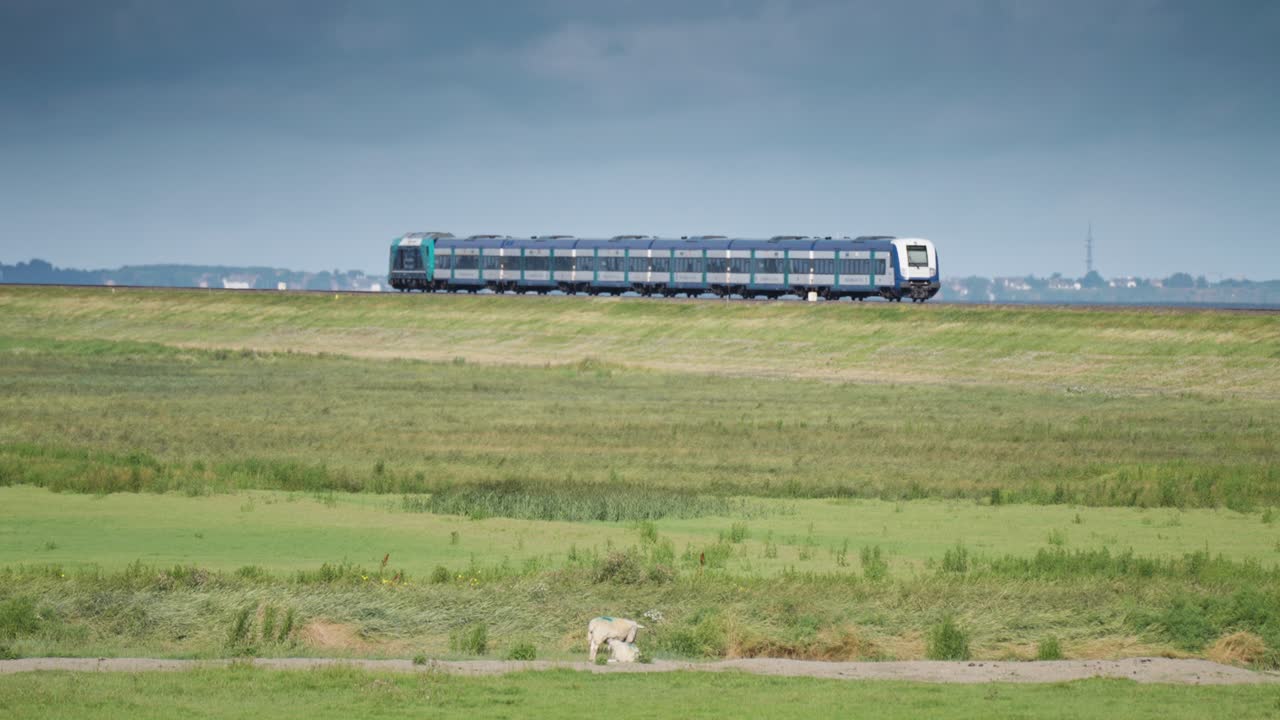 el tren azul cruza los verdes campos agrícolas en ruta desde la isla de sylt, alemania