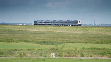 Der-Blaue-Zug-überquert-Auf-Dem-Weg-Von-Der-Insel-Sylt,-Deutschland,-Die-Grünen-Bauernfelder