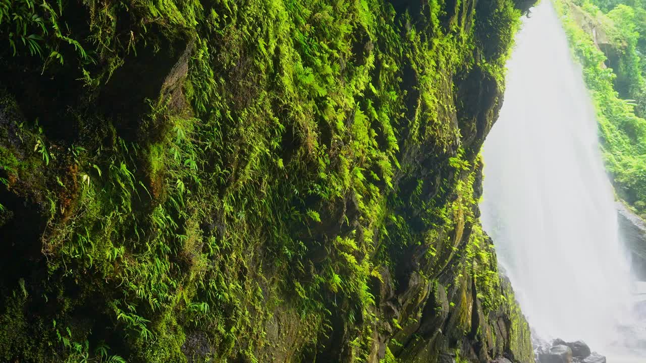 A pan shot of lush green moss and small ferns covering a dark, wet rock wall beside a cascading waterfall in a humid, shaded forest of Hulugan Falls, Laguna Philippines