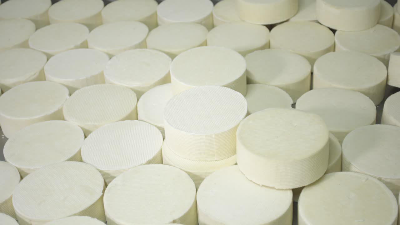 panado de quesos en el vinero