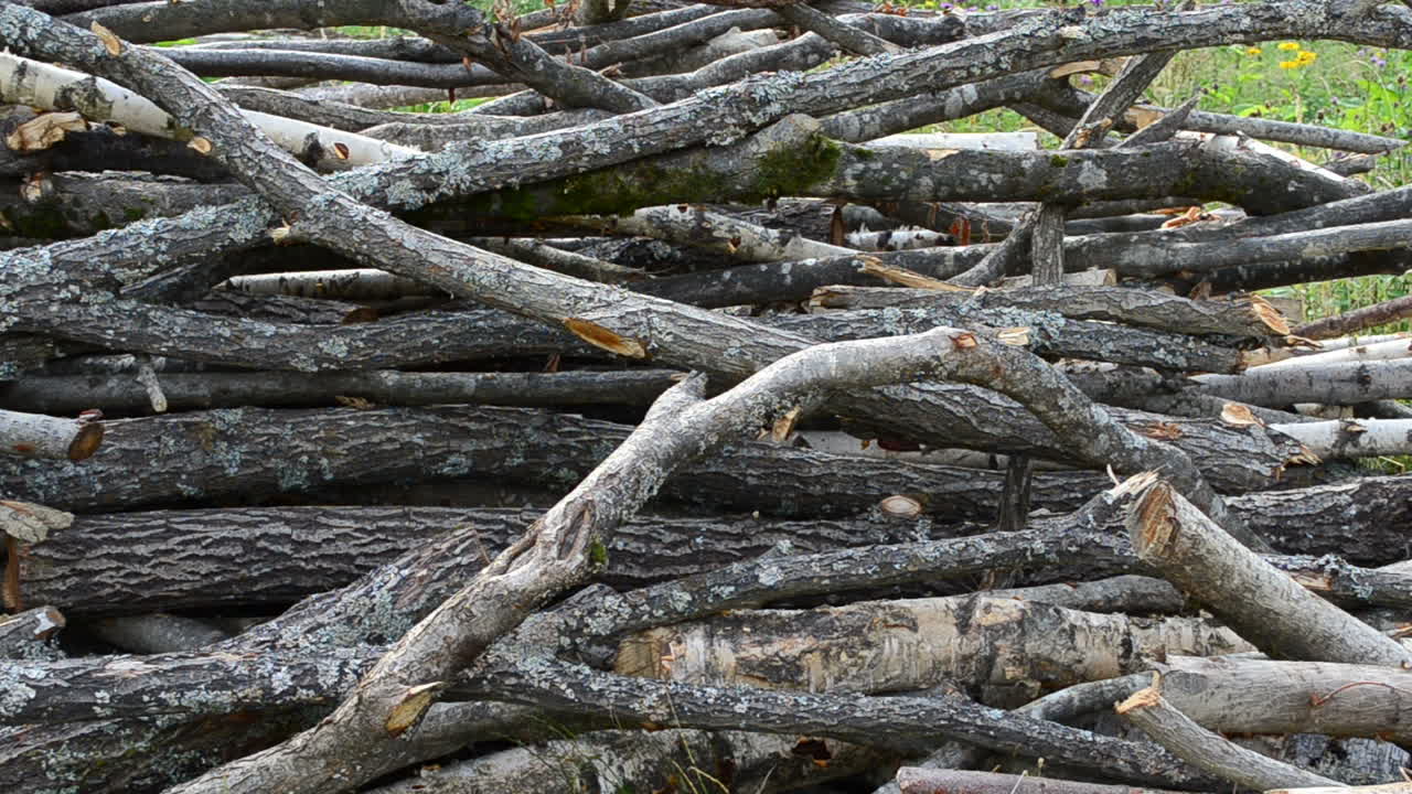 Brennholz im Hof. Holzscheit.