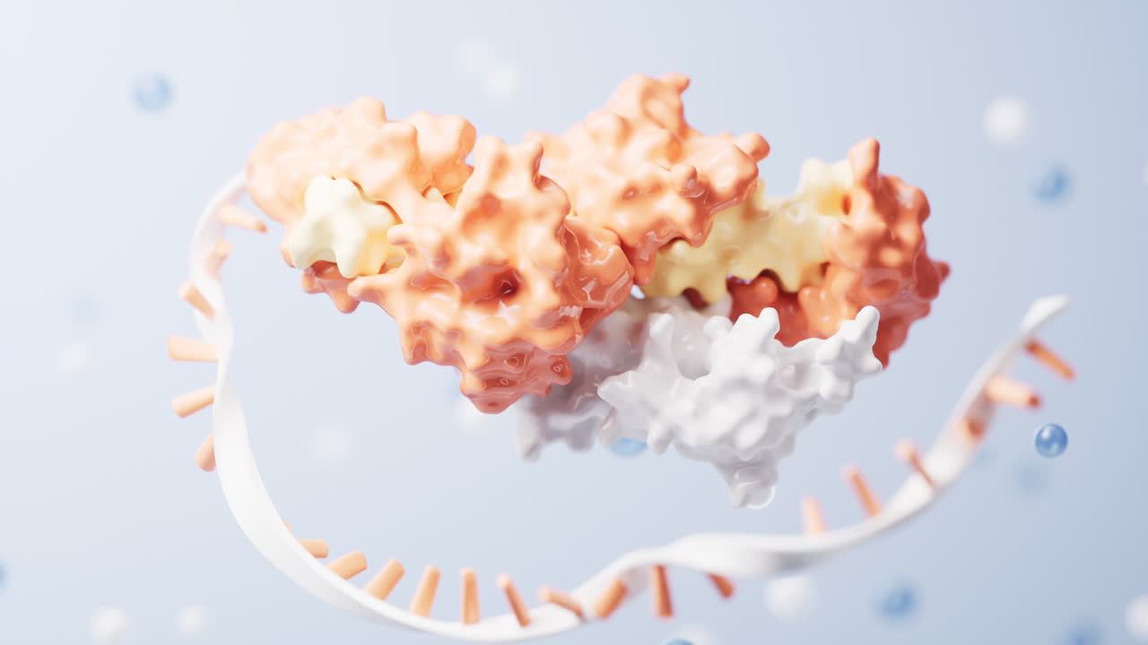 rna와 단백질의 생물학적 개념, 3d 렌더링