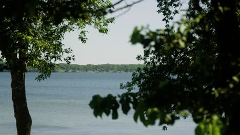 looking through the trees to a shoreline on the opposite side of a lake