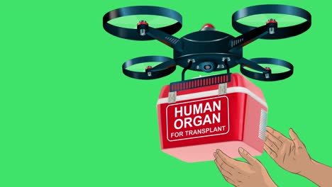 Un-Dron-Entregando-Una-Caja-Roja-De-Suministros-Médicos-De-Emergencia-Y-Las-Manos-De-Una-Persona-Recibiendo-El-Paquete-Con-Una-Pantalla-Verde-Personalizable-En-El-Fondo