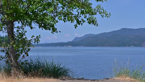 Majestät-Der-Berge:-Die-Raue-Landschaft-Des-Campbell-River-Im-Hintergrund